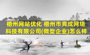 梧州网站优化 梧州市竟成网络科技有限*(微型企业)怎么样